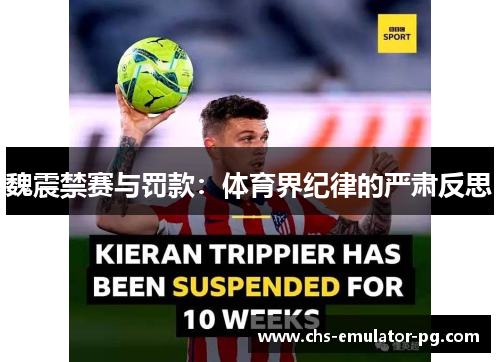 魏震禁赛与罚款:体育界纪律的严肃反思 魏震禁赛与罚款:体育界纪律的严肃反思
