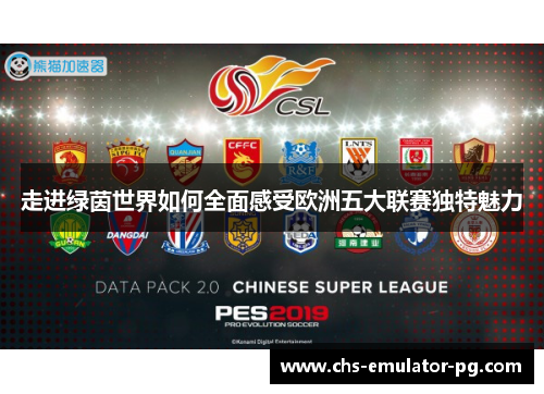 走进绿茵世界如何全面感受欧洲五大联赛独特魅力 走进绿茵世界如何全面感受欧洲五大联赛独特魅力