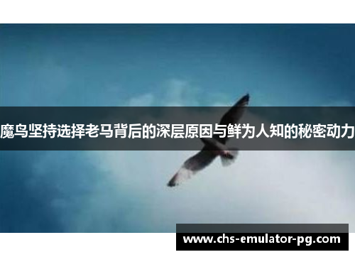 魔鸟坚持选择老马背后的深层原因与鲜为人知的秘密动力